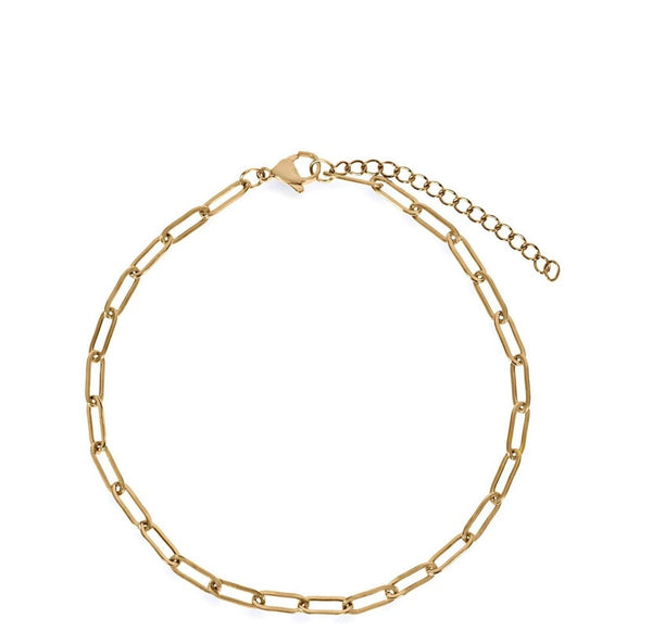 Ellie Vail "Ilana" Oval Chain Anklet
